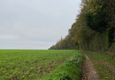 Tocht Stappen Gembloers - GR126 : Corroy-le-Château - Couture-Saint-Germain - Photo