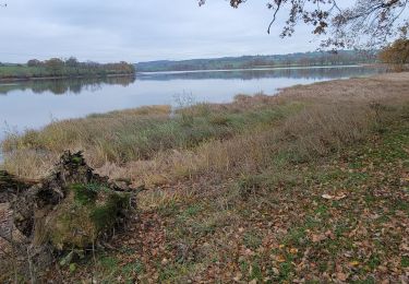 Trail Walking Écuisses - test montchanin - Photo