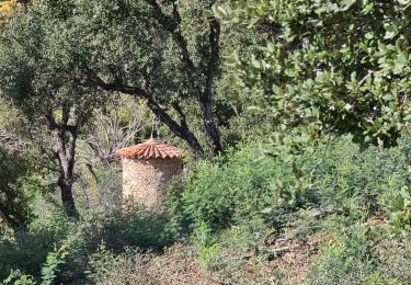 Excursión Senderismo Sainte-Maxime - Le déffend ste maxime - Photo