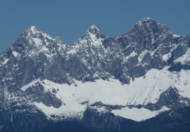 Tocht Te voet Gosau - Gosausee-Dachstein - Photo