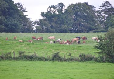 Percorso A piedi Mid Devon - Uffculme Village Trail - Photo