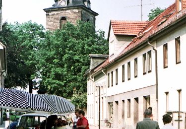 Randonnée A pied Bad Berka - Förster-Brommer-Weg - Photo