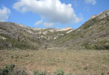 Excursión Senderismo Sénas - xx-Sénas - Vallon d'Auphant - 2 - Photo