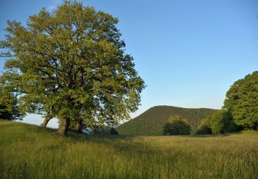 Tocht Te voet Gemeinde Alland - Glashütten - Nöstach - Photo