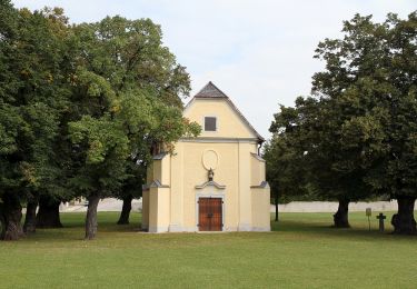 Tocht Te voet Gemeinde Großhöflein - Marterlweg bei Müllendorf - Photo