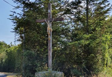 Randonnée V.T.C. La Garnache - La Garnache-Boucle des éoliennes  - Photo