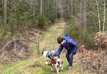 Trail Walking Neufchâteau - Bois d’Ospau avec Nafi - Photo