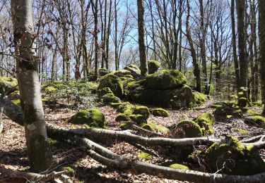 Tocht Stappen Uchon - UchonVelleUchon - Photo