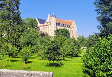 Percorso Marcia Château-Landon - Promenade à Château Landon et ses alentours - Photo