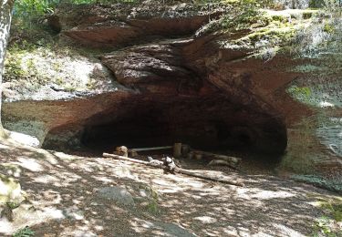Tour Mountainbike Sankt Quirin - Saint Quirin 27 8 2020 - Photo