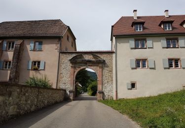 Trail Walking Murbach - Murbach - Grand Ballon - Lac du Ballon - Col du Wolfsgrube - Photo