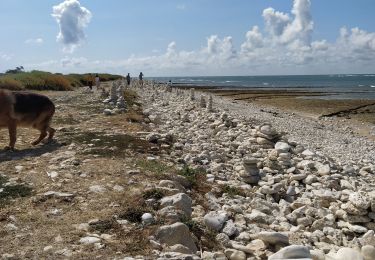 Excursión Senderismo Saint-Denis-d'Oléron - chassieon - Photo