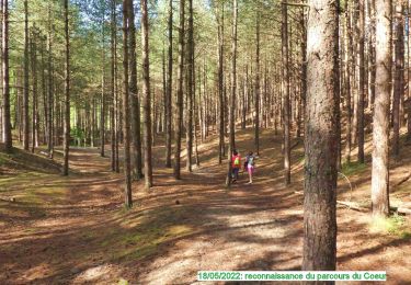 Excursión Senderismo Merlimont - 8k-ParcoursDuCoeur2022 - Photo