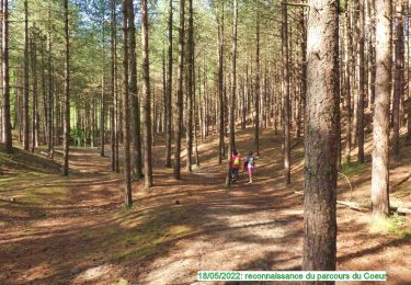 Tocht Stappen Merlimont - 8k-ParcoursDuCoeur2022 - Photo