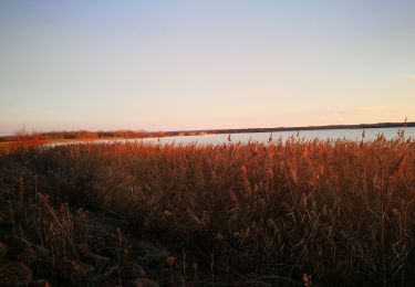 Tour Wandern Nonsard-Lamarche - madine dec 2020 - Photo