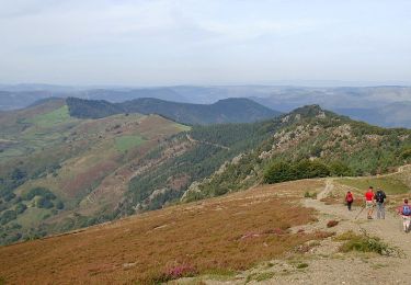 Percorso Marcia Pont de Montvert - Sud Mont Lozère - GR_70_AI_09_Pont-Monvert_Florac-3-Riveres_20140923 - Photo