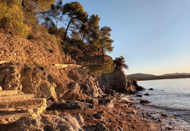 Percorso Marcia La Londe-les-Maures - Plage de l'Argentière à Cabasson en A/R-14-01-22 - Photo