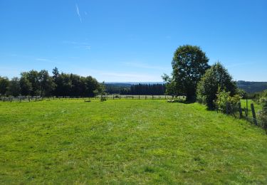 Trail Walking Houffalize - Les Colas 050923 - Photo
