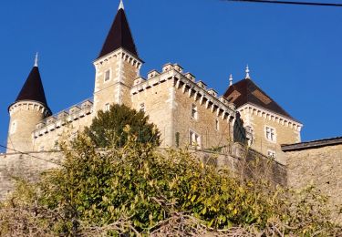 Randonnée Marche Saint-Jean-le-Vieux - forêt de Saint Jean - Photo