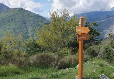Tocht Stappen Saorge - saorge col peiremont crête peiremont - Photo