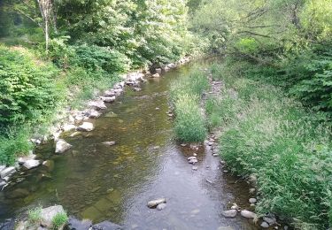 Trail Mountain bike Sentheim - AperoDioller - Photo