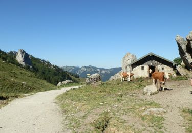 Trail On foot Grassau - Genial Vital 8 - Photo