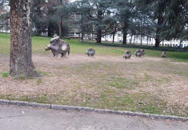 Tour Wandern Nevers - boucle Nevers  - Photo