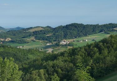 Tour Zu Fuß Val di Nizza - Anello di Cascina Serzego - Photo