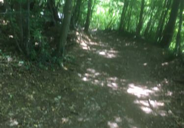 Trail Walking Esneux - DEINIE - Photo