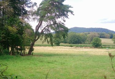 Tocht Stappen Volvic - Chopine et Chaumont  - Photo