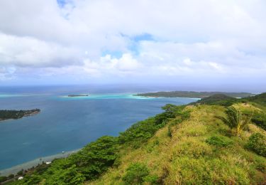 Excursión Senderismo Bora-Bora - Popoti - Bora Bora - Photo