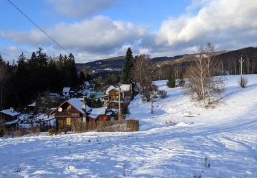 Tour Zu Fuß Reichenberg - [Ž] Nad Kunraticemi - Milíře - Photo