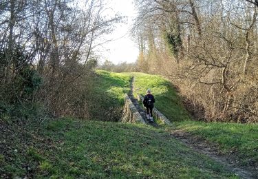 Trail Walking Pavant - Pavant du 21-02-2023 - Photo