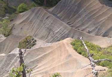 Excursión Senderismo Rosières - Ravin de Corboeuf - Photo