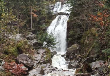 Tour Wandern Tendon - 18-11-23 cascade de Tendon - Photo