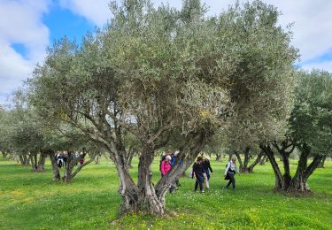 Tour Wandern Les Arcs-sur-Argens - LES ARCS - LE MUY - LA MOTTE - SAINTE ROSELINE ET VALBOURGES - Photo