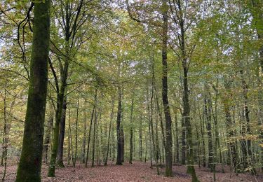 Excursión sport Saint-Léger - Châtillon  - Photo