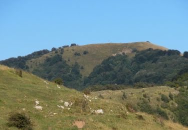 Randonnée A pied Valbrevenna - Monte Cugno - Monte Buio - Photo