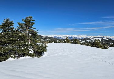 Percorso Sci di fondo Gréolières - Greolière  les neiges Chalet du fondeur - Photo