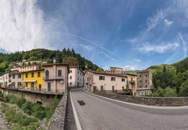 Trail On foot Pistoia - Pracchia - Rombiciaio - Photo