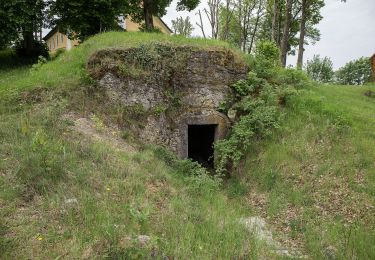 Percorso A piedi Auerbach in der Oberpfalz - Neuhaus-Rundwanderweg No.9 - Photo