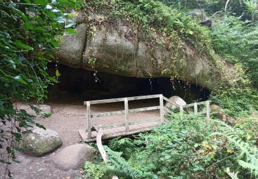 Excursión Senderismo Perros-Guirec - vallée de Traouïero - Photo