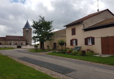 Randonnée Marche Tarquimpol - LINDRE BASSE - AUTOUR DES ETANGS DE DIEUZE - Photo