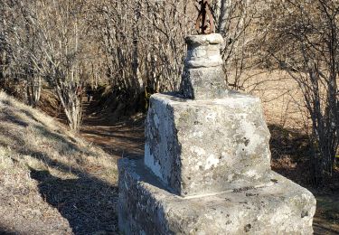 Tour Wandern Égliseneuve-d'Entraigues - Les cascades d'Eglineuve - Photo