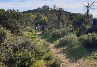 Trail Walking Cavalaire-sur-Mer - CAVALAIRE - Photo