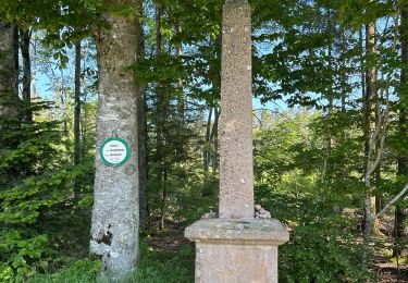 Trail Walking Champdray - Champdray, point de vue de Laleu - Photo