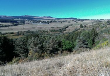 Trail Walking Aydat - 2019-09-13 -Puy de Combegrasse - Narse d'Espinasse - Photo