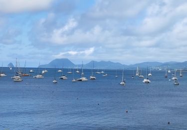 Tour Wandern Sainte-Anne -  Bourg de Ste Anne et ses environs  - Photo