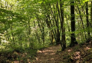 Trail Walking Saint-Lothain - Saint Lothain - Photo