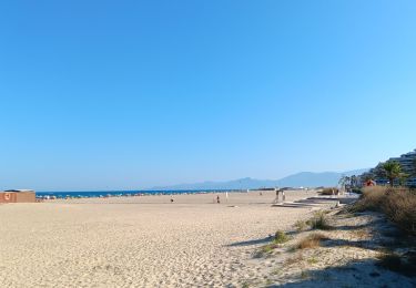 Tocht Stappen Canet-en-Roussillon - Le canet, la plage des kèkès ... - Photo